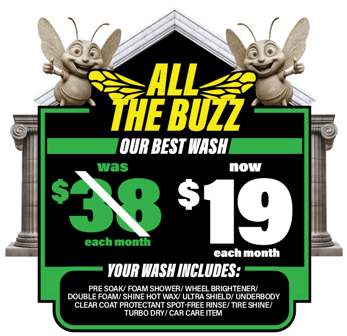 All the Buzz. Was $38. Now $19. Each Month