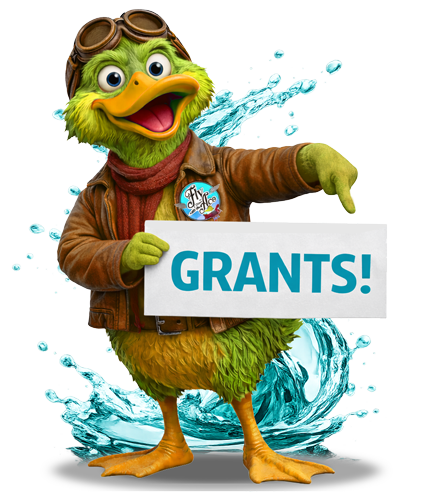 ACE GRANTS